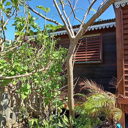 Location Bord Ocean, Holi-Wood Villa Saint-Joseph Exterior foto