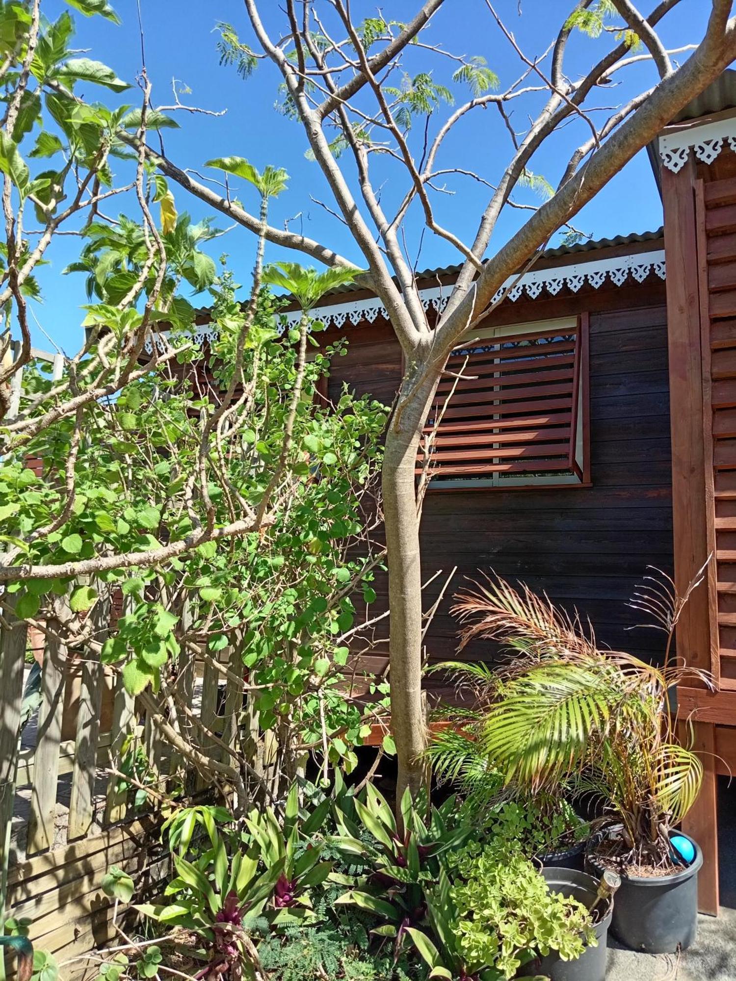 Location Bord Ocean, Holi-Wood Villa Saint-Joseph Exterior foto